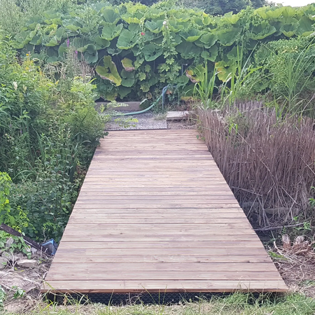 Ein Holzsteg, der zu einem Teich führt